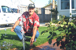 a broken pop up head sprays water like a fountain